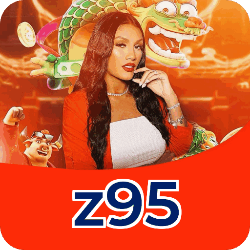 Interface z95